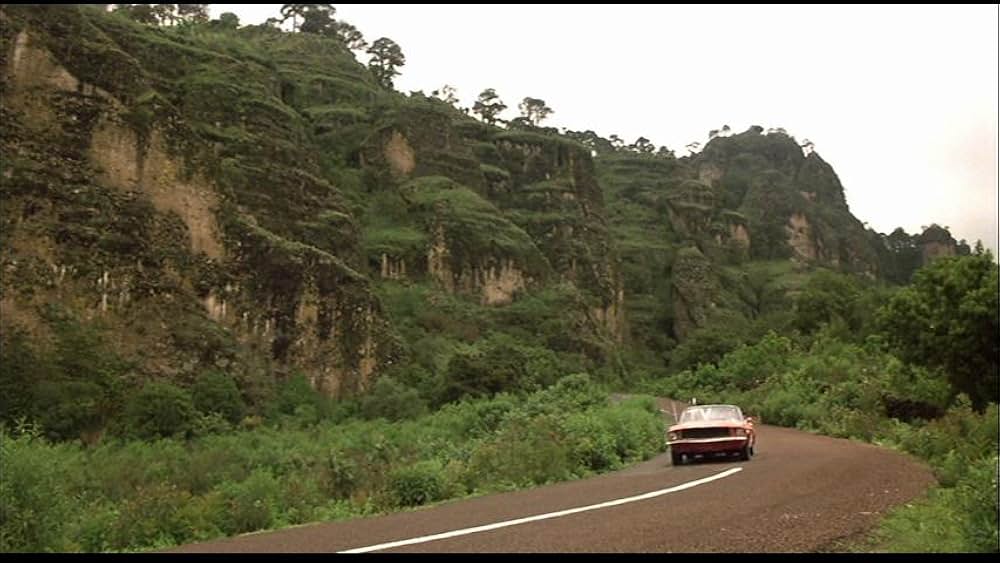 サルバドル／遥かなる日々の画像