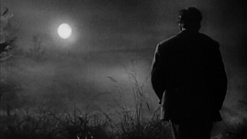 サンライズの画像