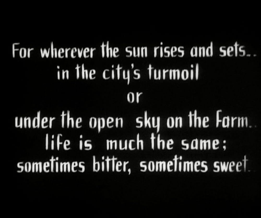 サンライズの画像