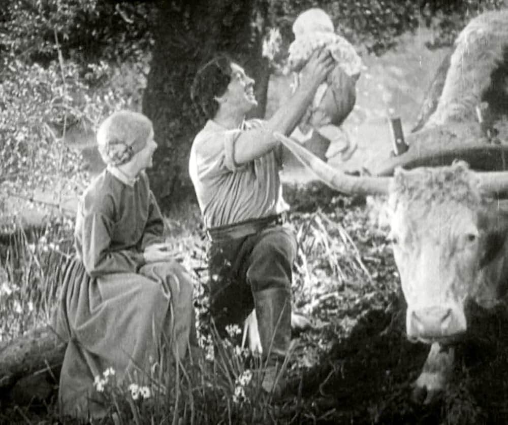 サンライズの画像