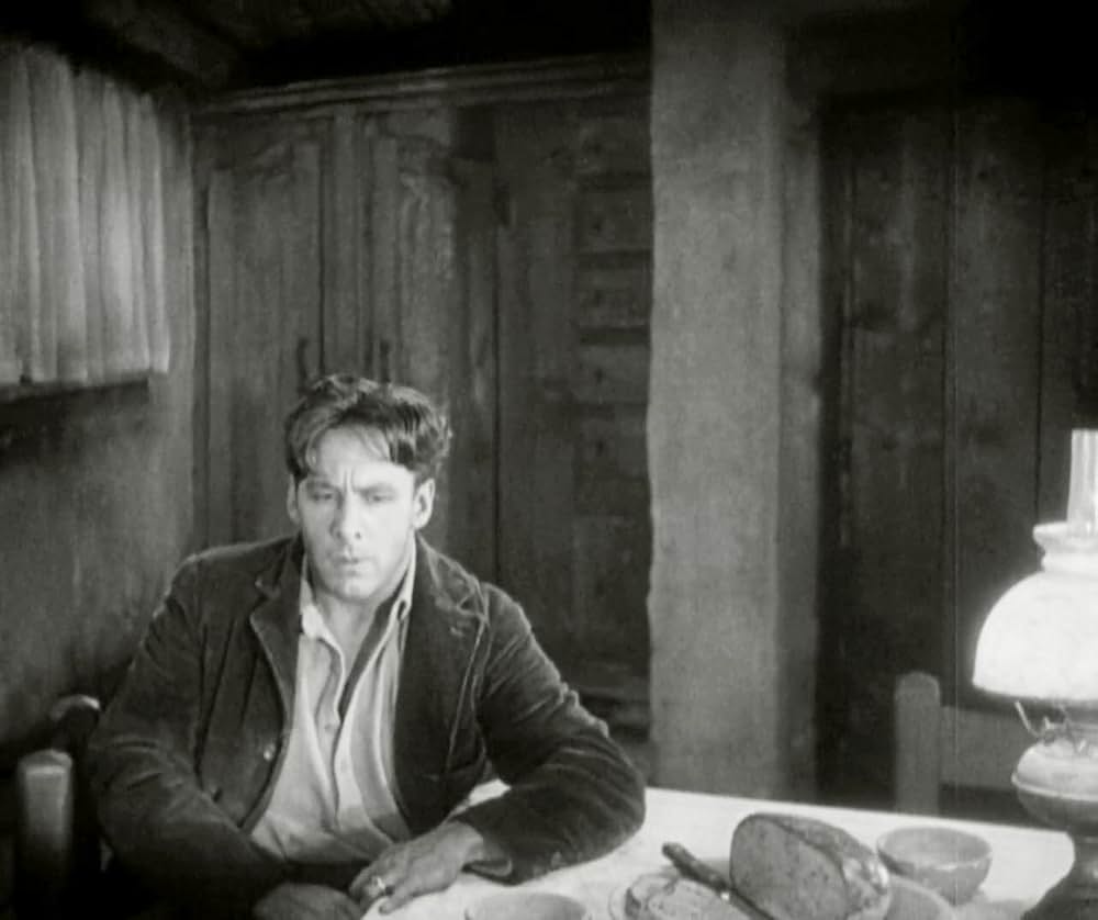 サンライズの画像