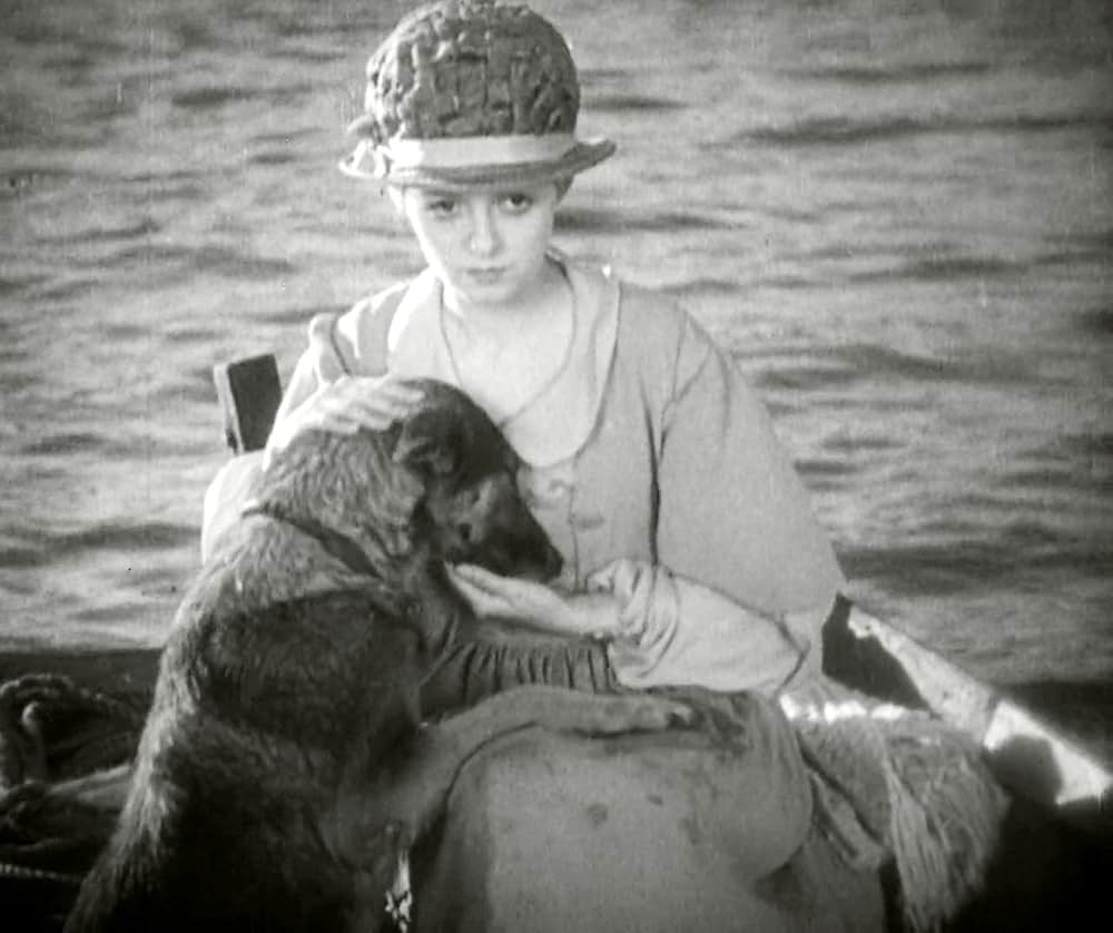 サンライズの画像