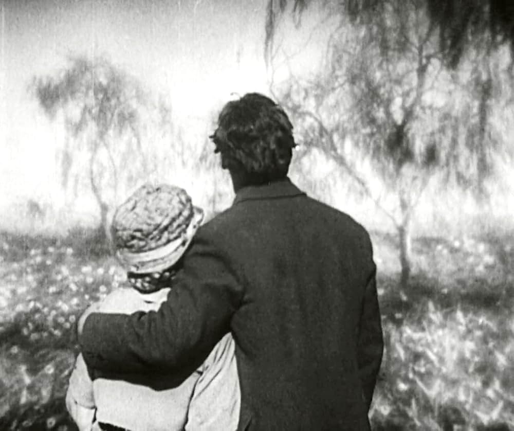 サンライズの画像