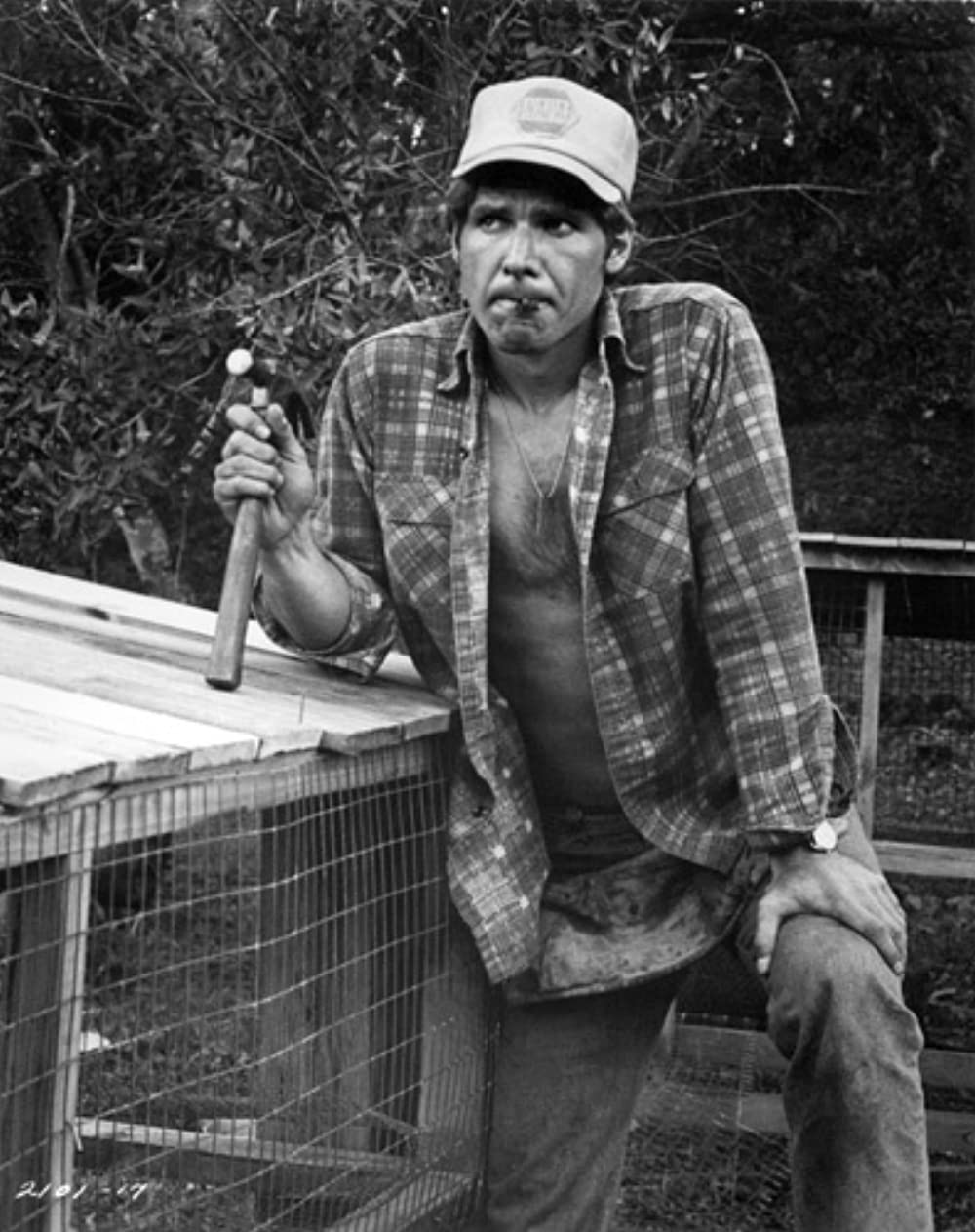 幸福の旅路の画像