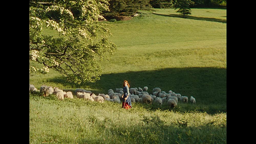静かなる男の画像