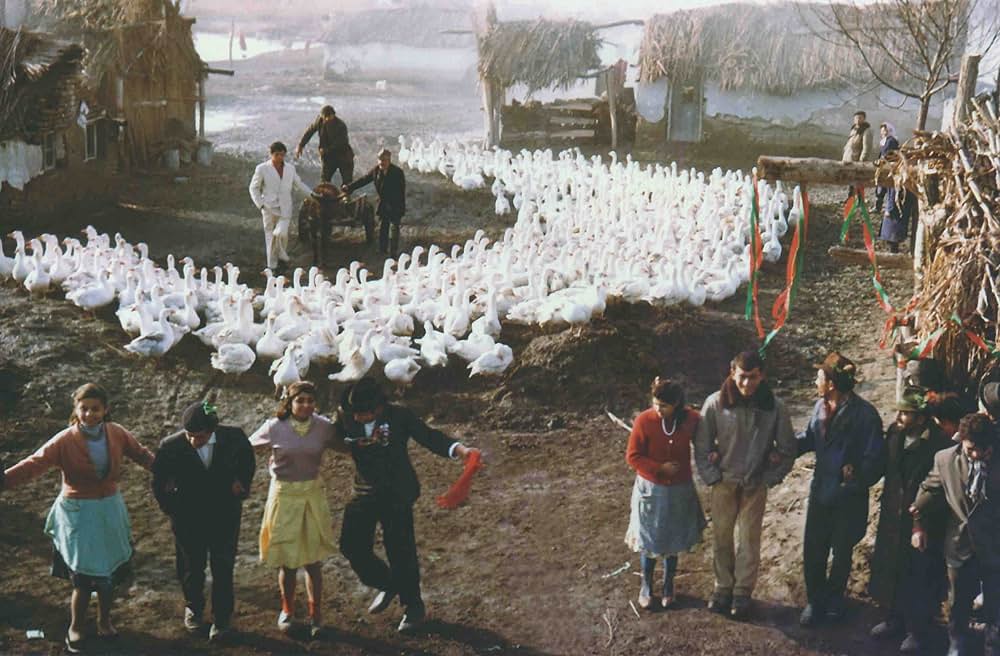 ジプシーの唄をきいたの画像