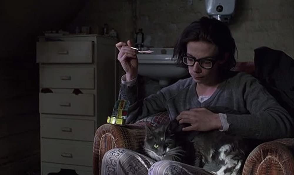 「シャイン」ノア・テイラーの画像