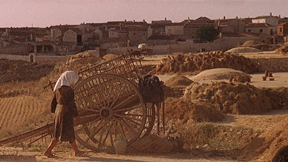 真実の瞬間の画像