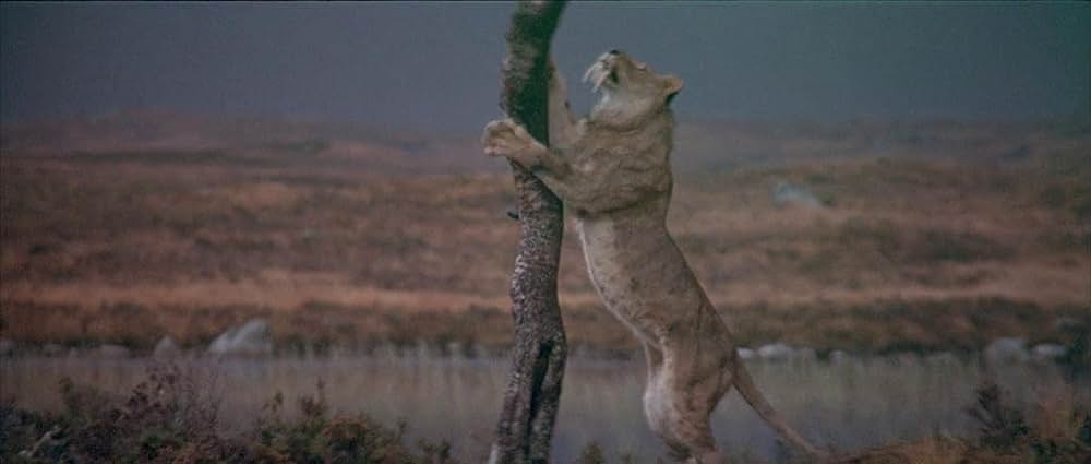 人類創世の画像