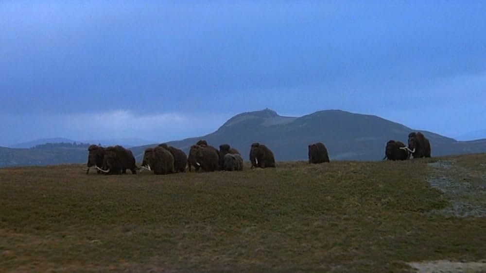 人類創世の画像