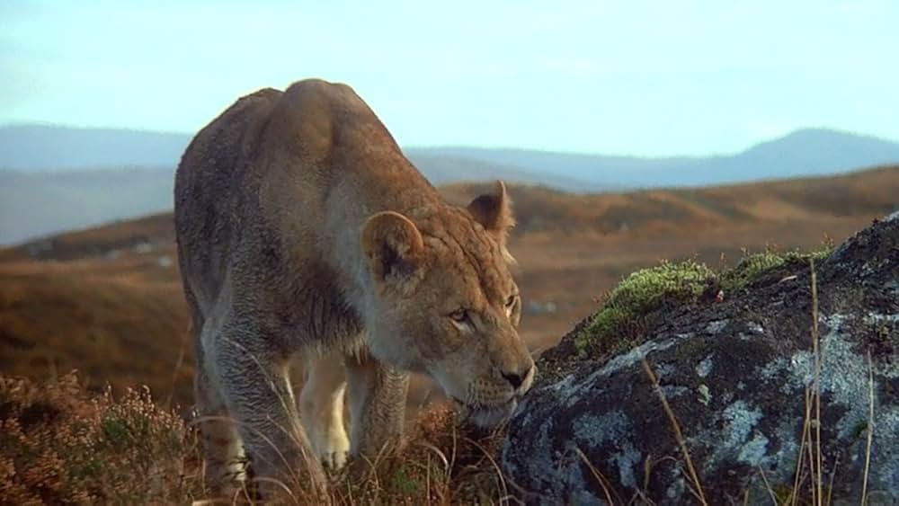 人類創世の画像