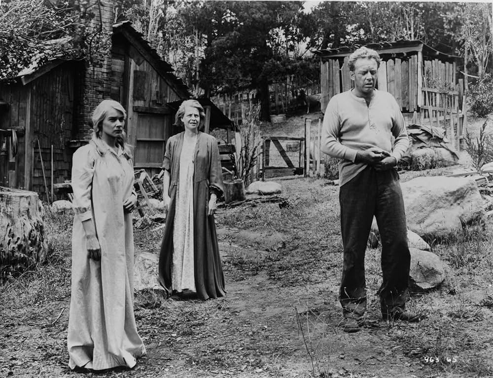 青春物語の画像