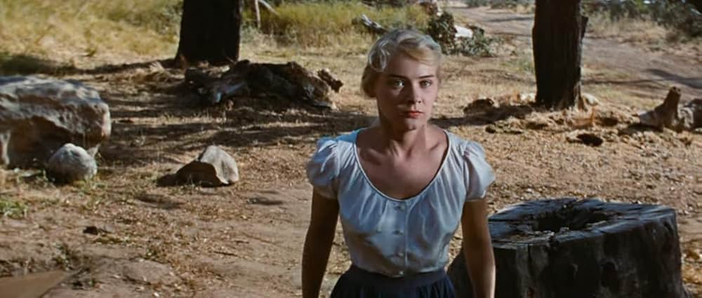 青春物語の画像