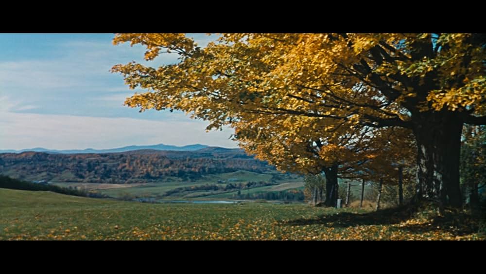 青春物語の画像