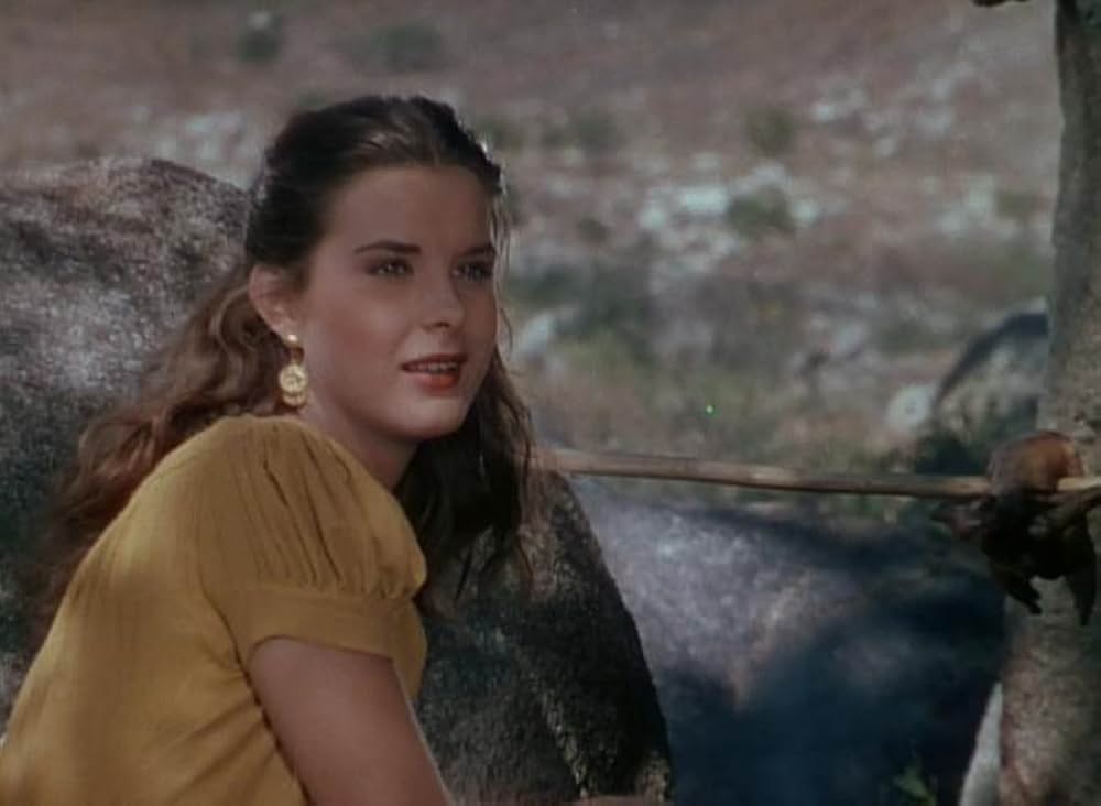 征服への道の画像