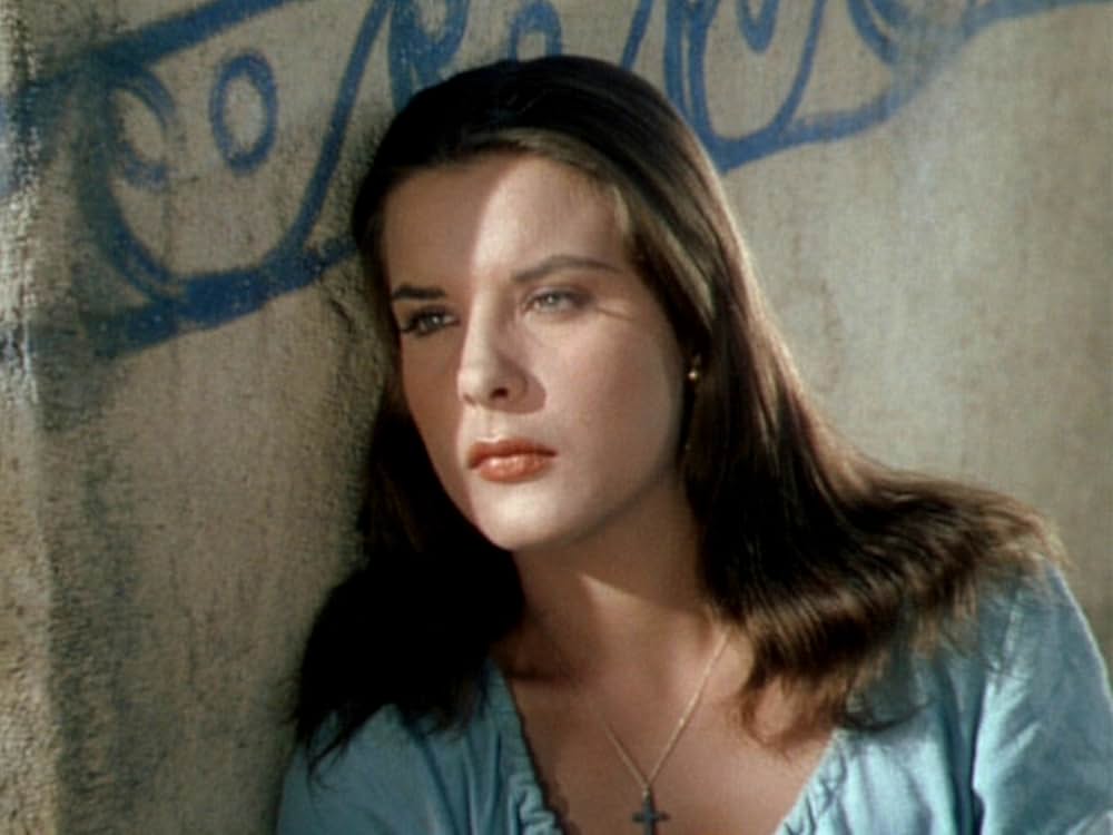 征服への道の画像