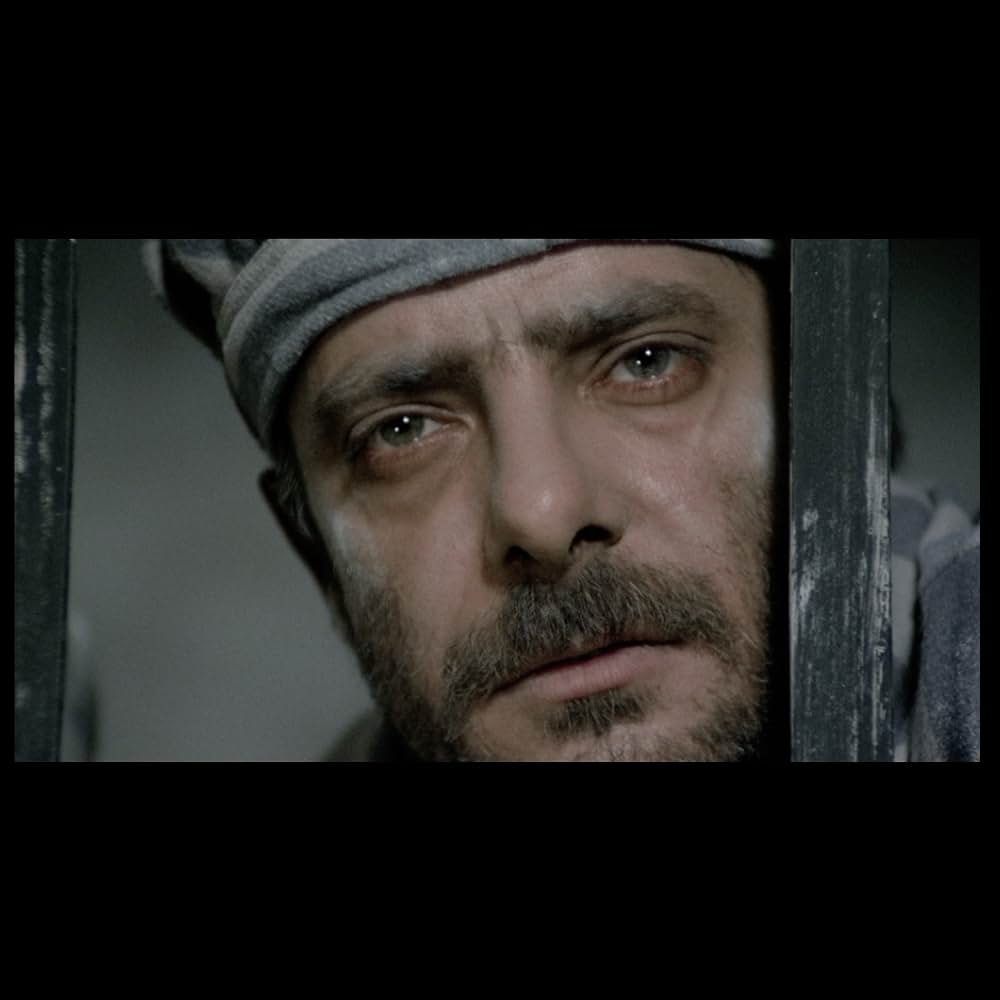 セブン・ビューティーズの画像