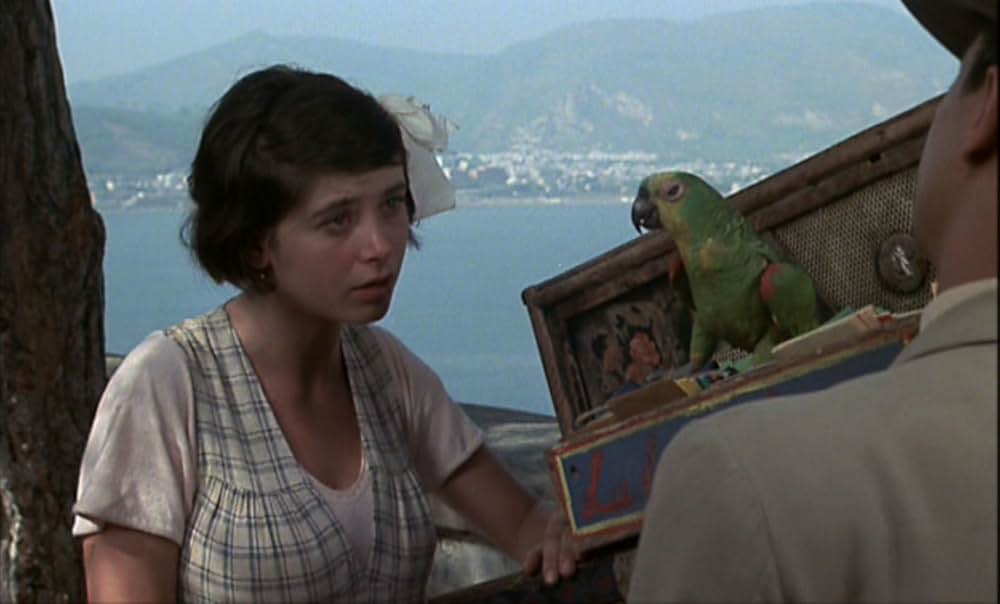 セブン・ビューティーズの画像