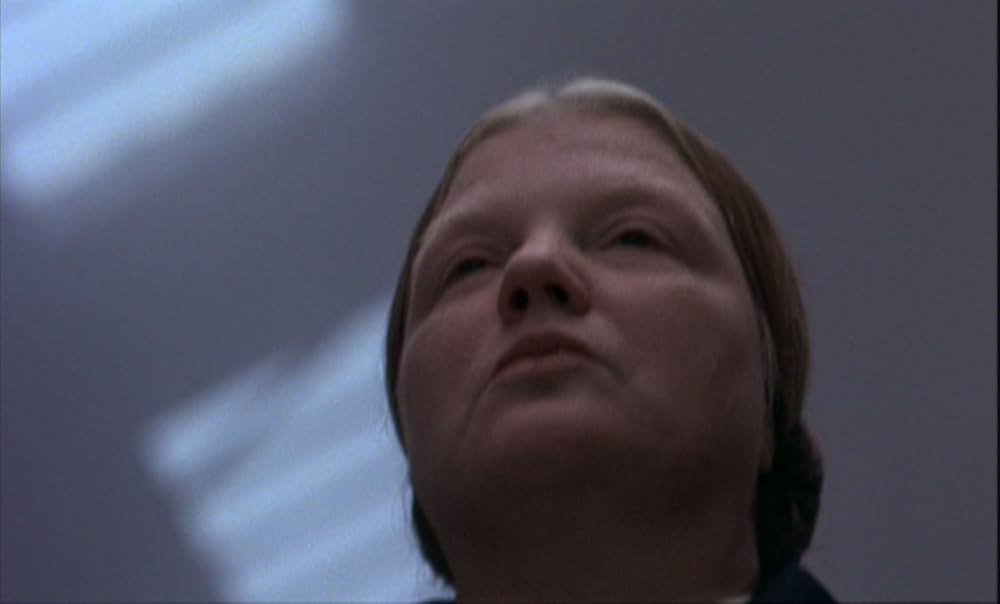 セブン・ビューティーズの画像