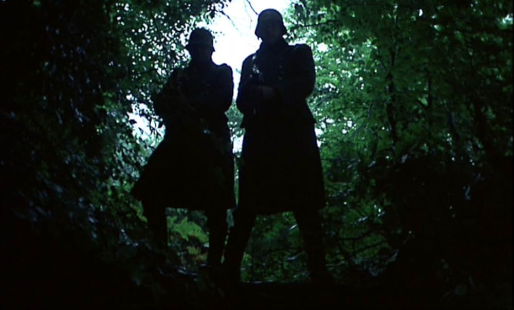 セブン・ビューティーズの画像