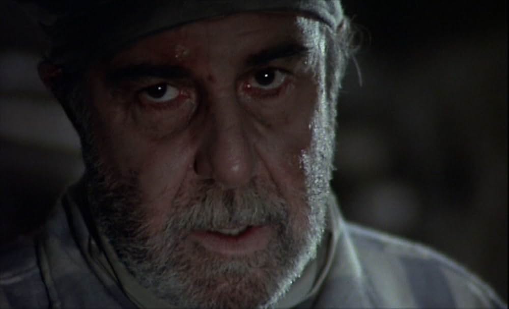 セブン・ビューティーズの画像