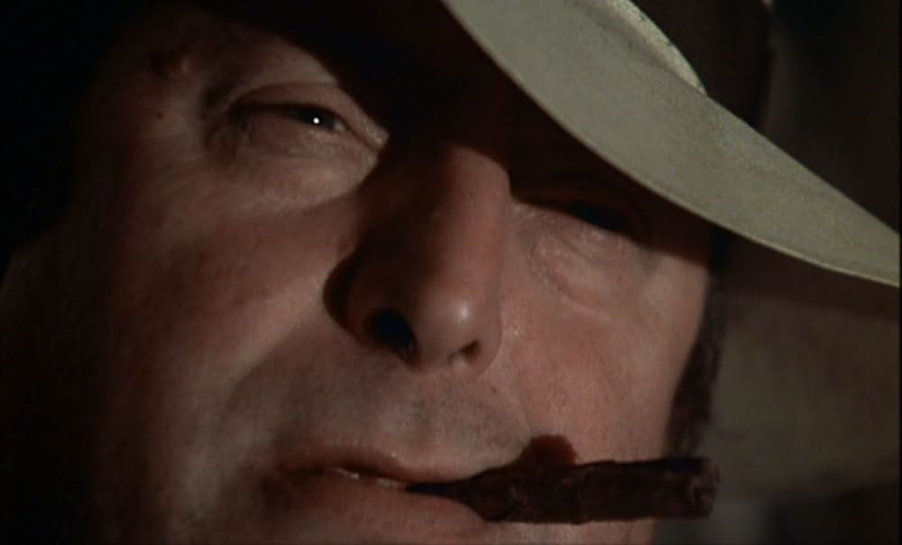 セブン・ビューティーズの画像