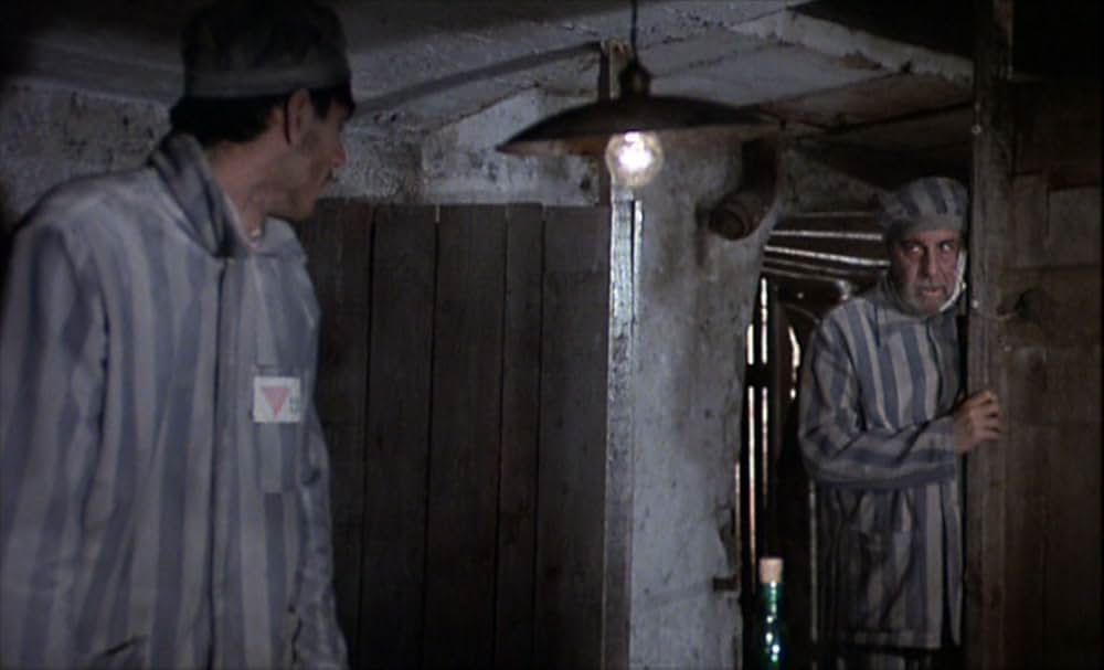 セブン・ビューティーズの画像