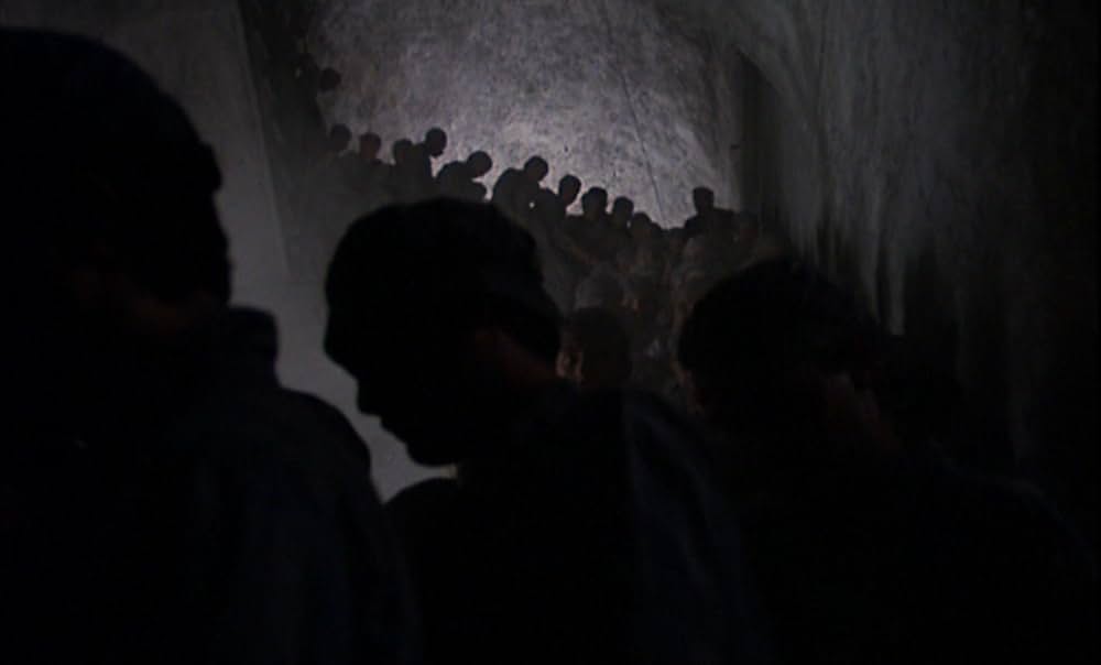 セブン・ビューティーズの画像