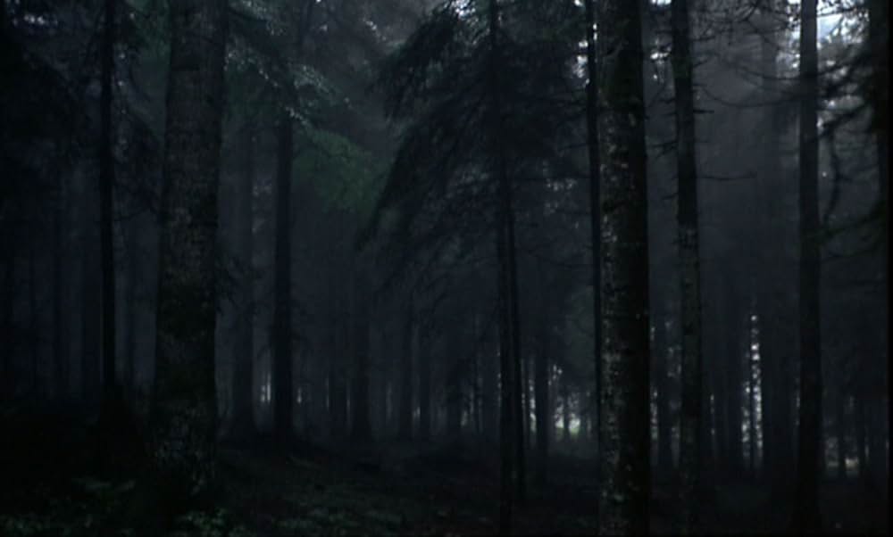 セブン・ビューティーズの画像