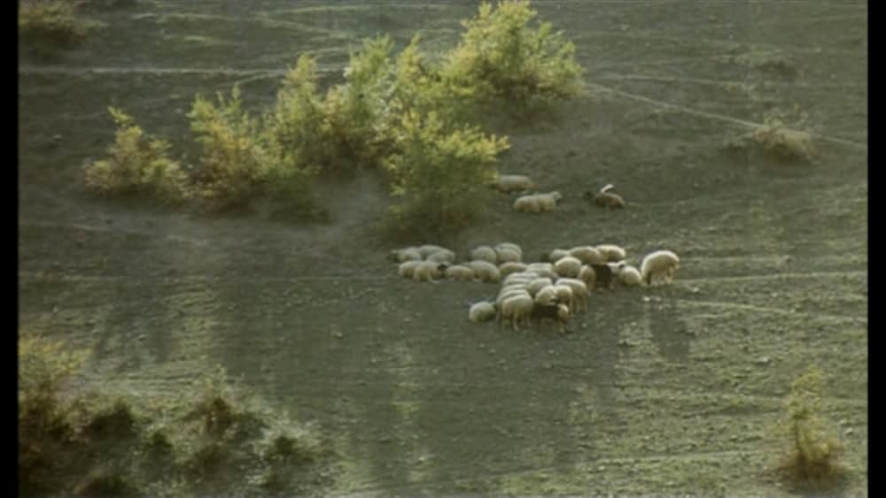 そして人生はつづくの画像