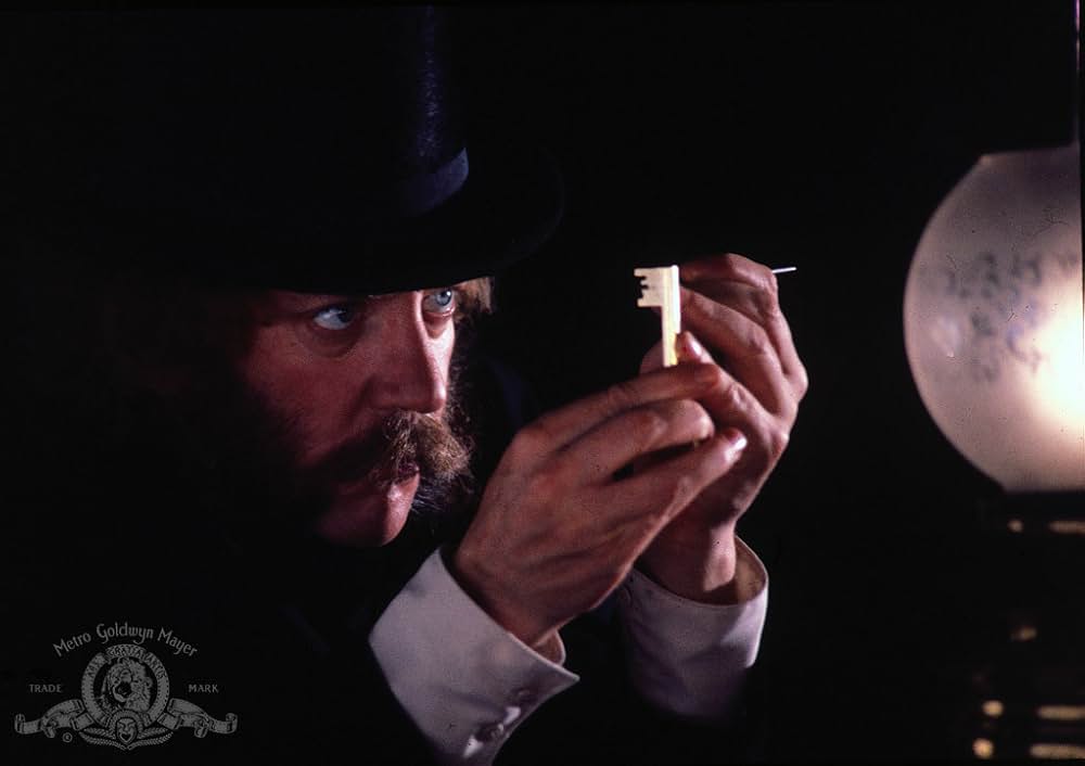 大列車強盗の画像