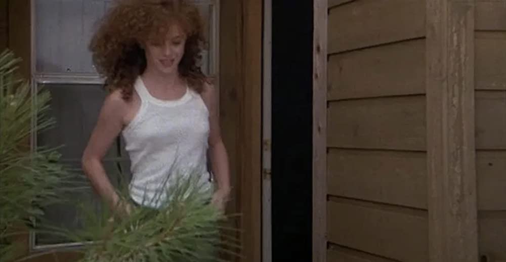 テックスの画像