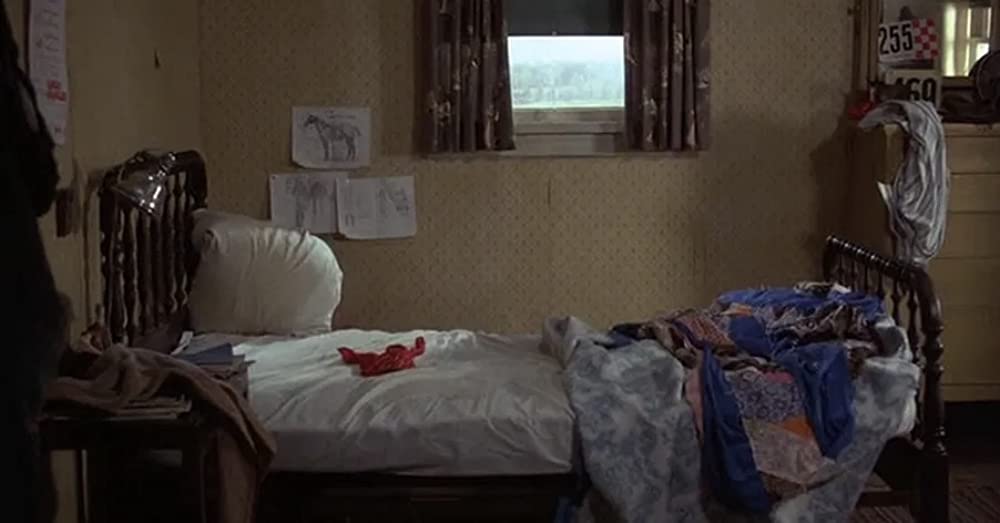 テックスの画像