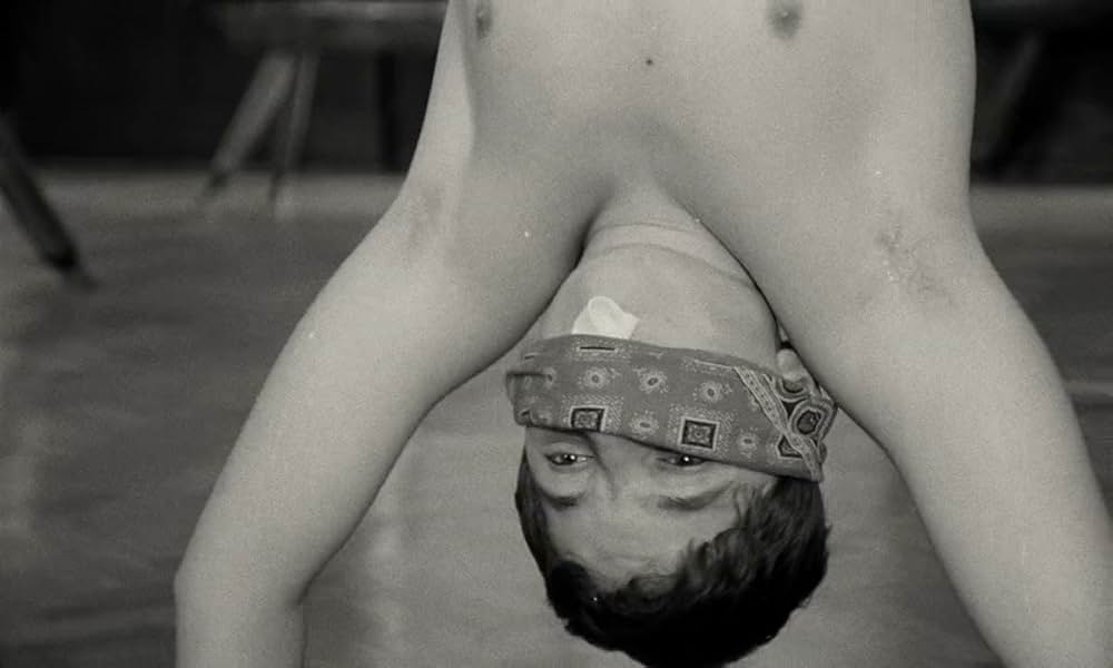 テルレスの青春の画像