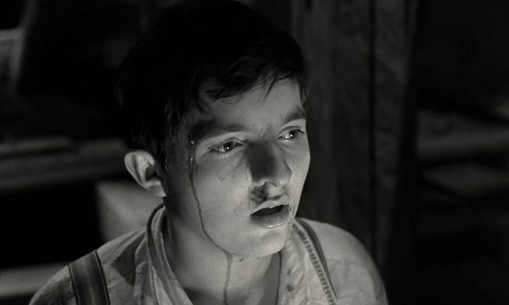 テルレスの青春の画像