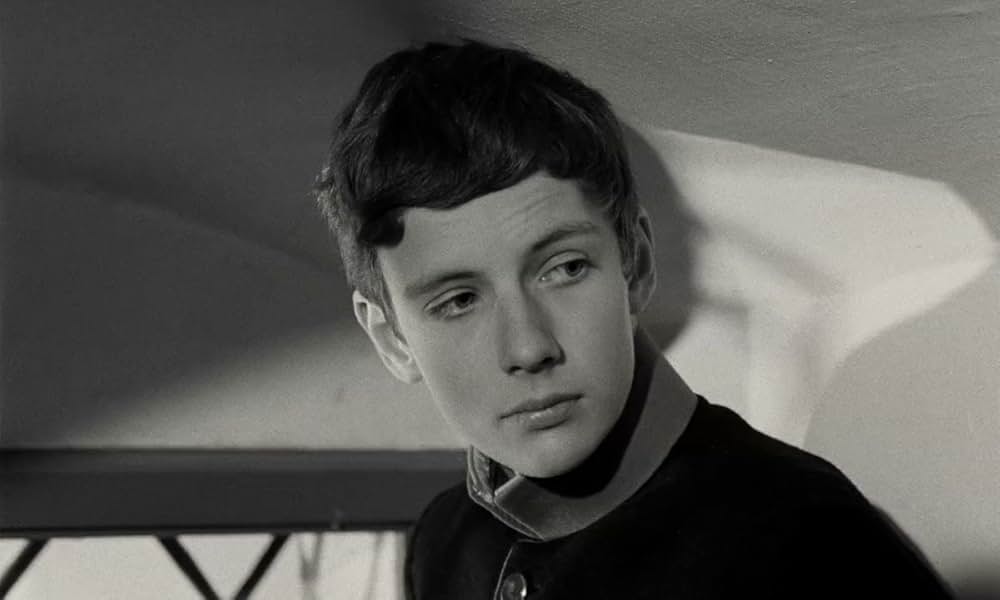 テルレスの青春の画像