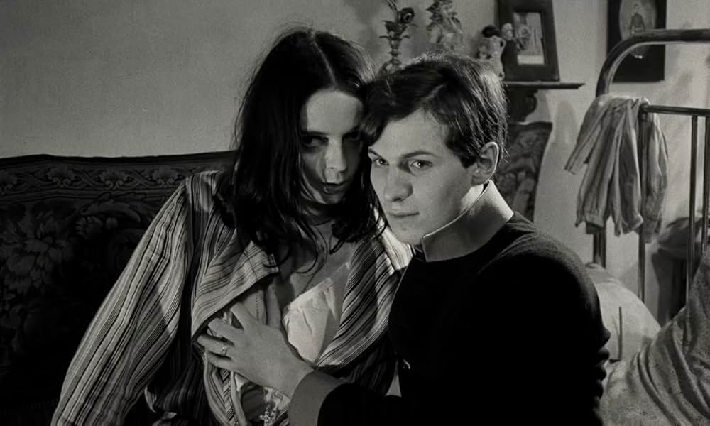 テルレスの青春の画像