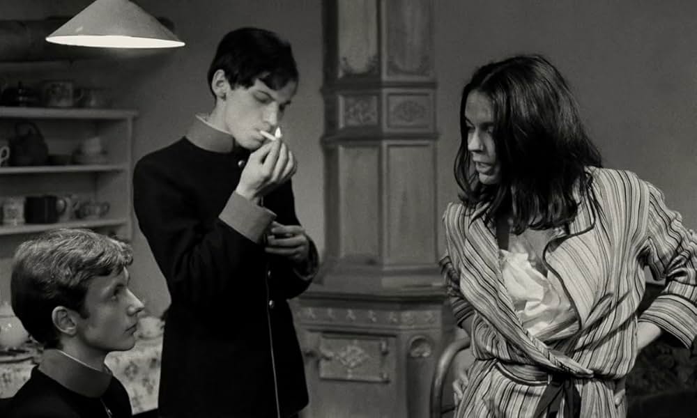 テルレスの青春の画像