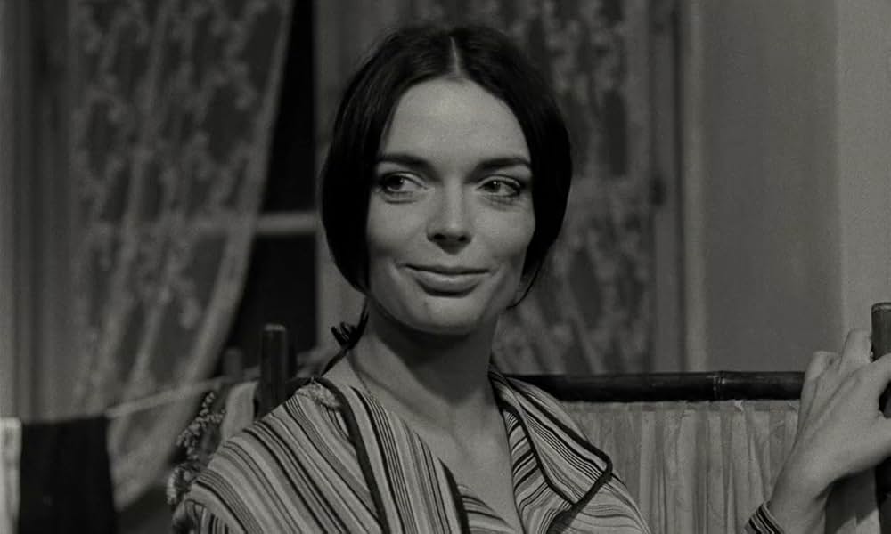 テルレスの青春の画像