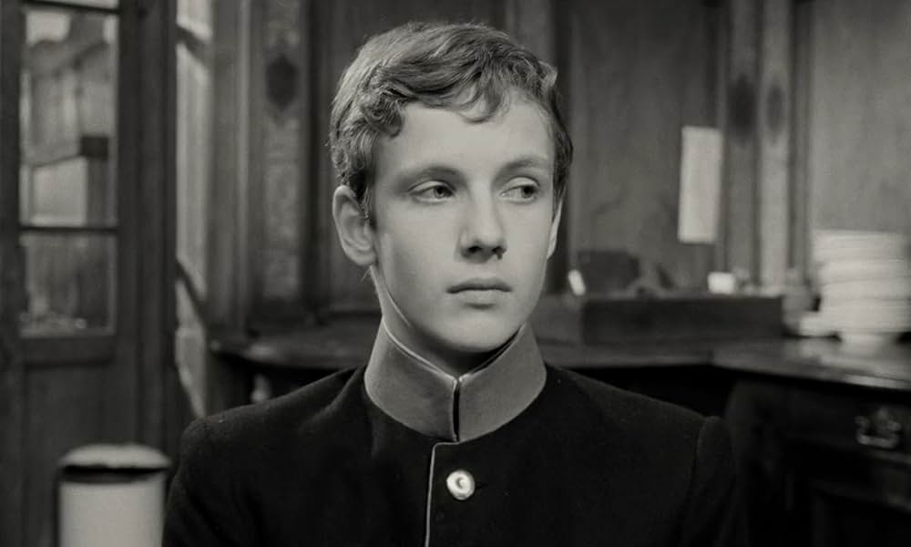 テルレスの青春の画像