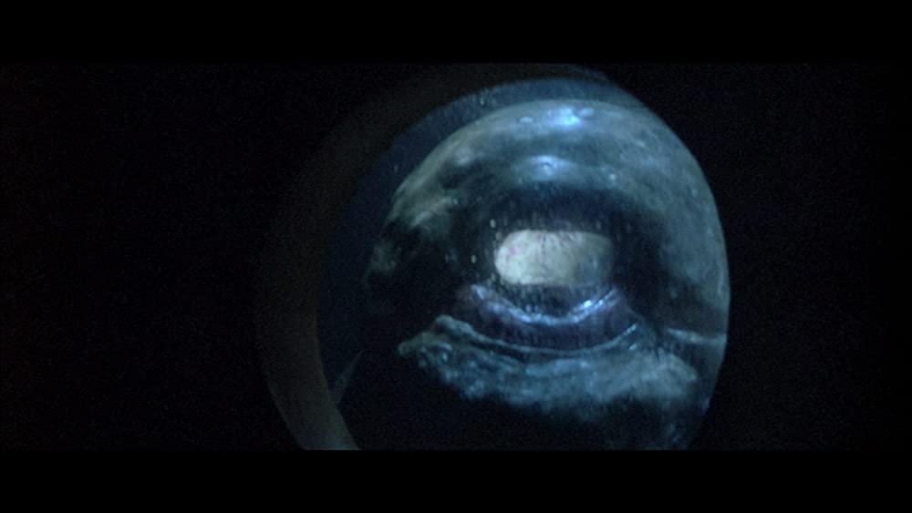 テンタクルズの画像