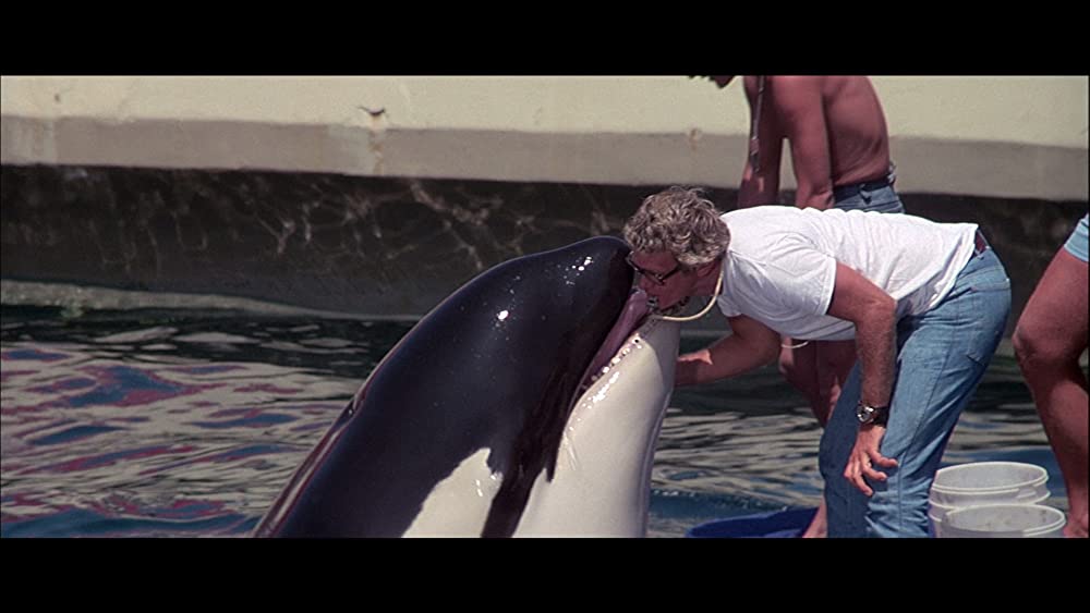 テンタクルズの画像