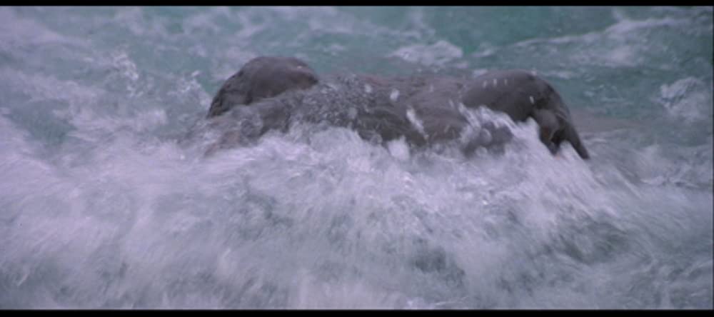 テンタクルズの画像