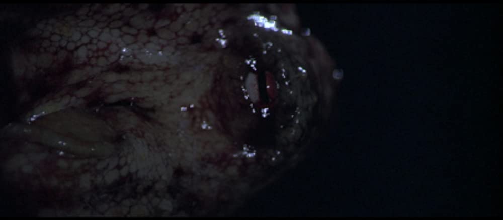 テンタクルズの画像