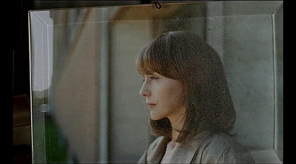 トト・ザ・ヒーローの画像