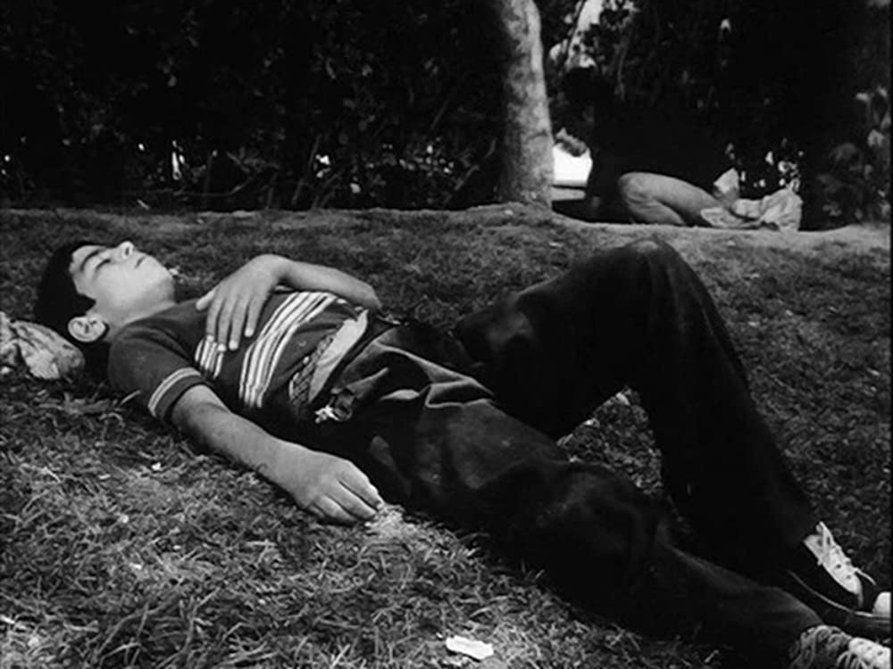 トラベラーの画像