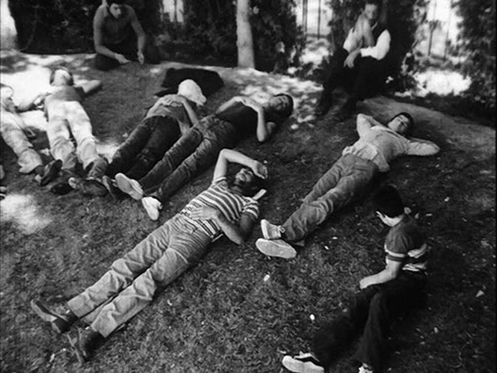 トラベラーの画像