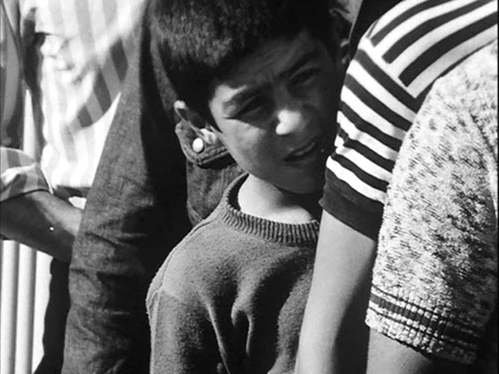 トラベラーの画像