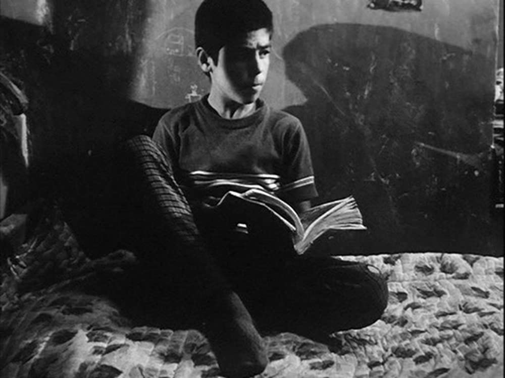 トラベラーの画像