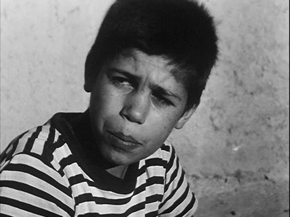 トラベラーの画像